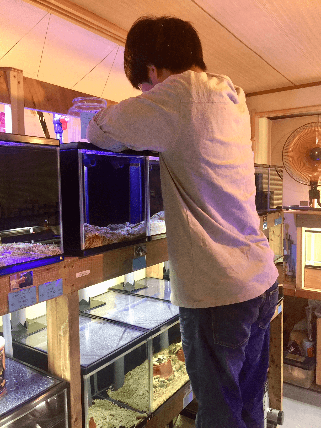 なぜこの課題に取り組むかの画像