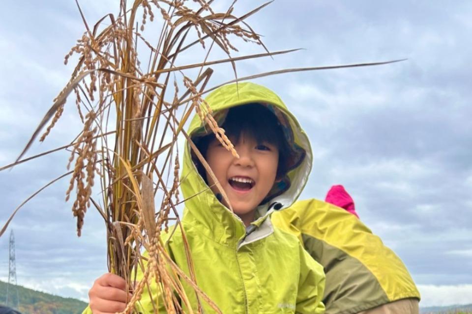 Why we are tackling this issue Image