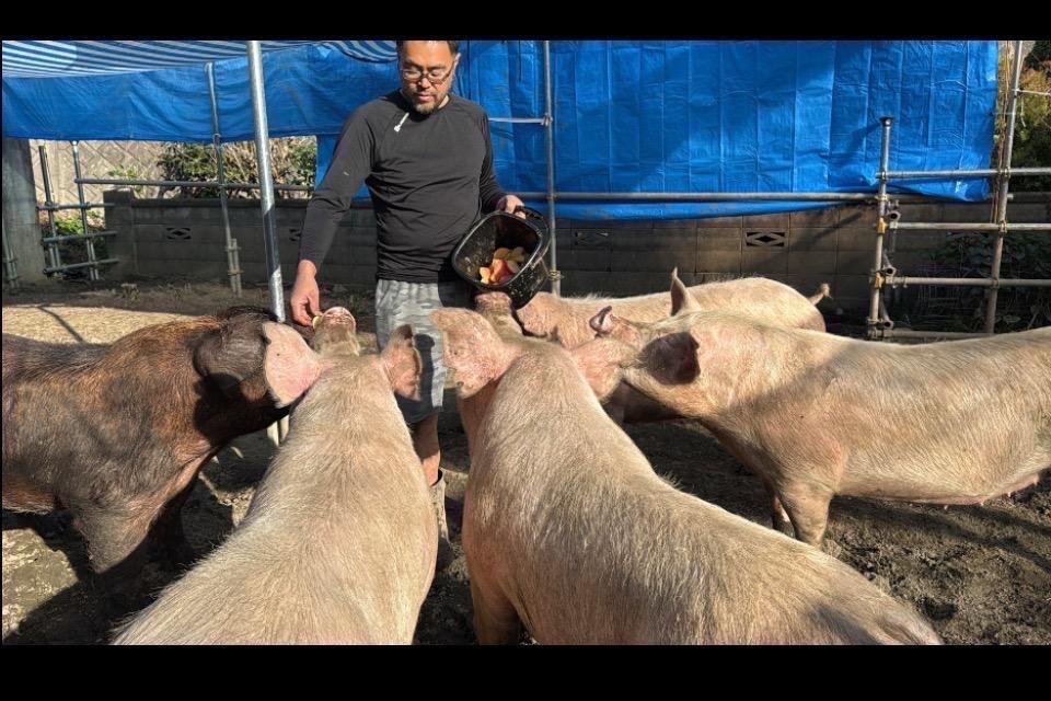 なぜこの課題に取り組むかの画像