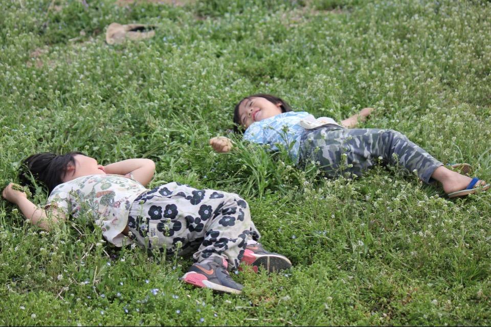 なぜこの課題に取り組むかの画像