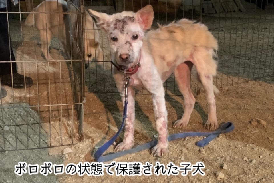 なぜこの課題に取り組むかの画像