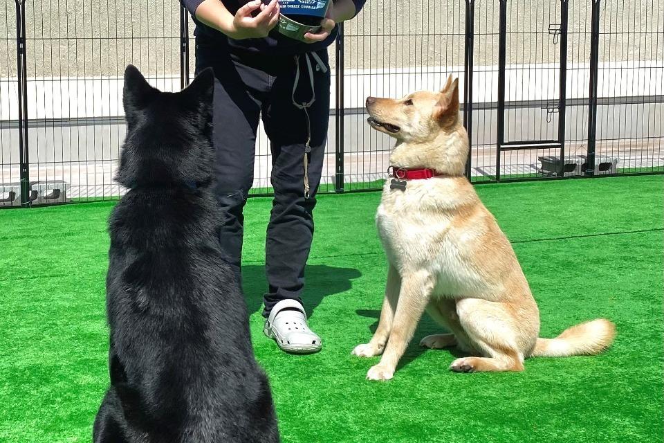 なぜこの課題に取り組むかの画像