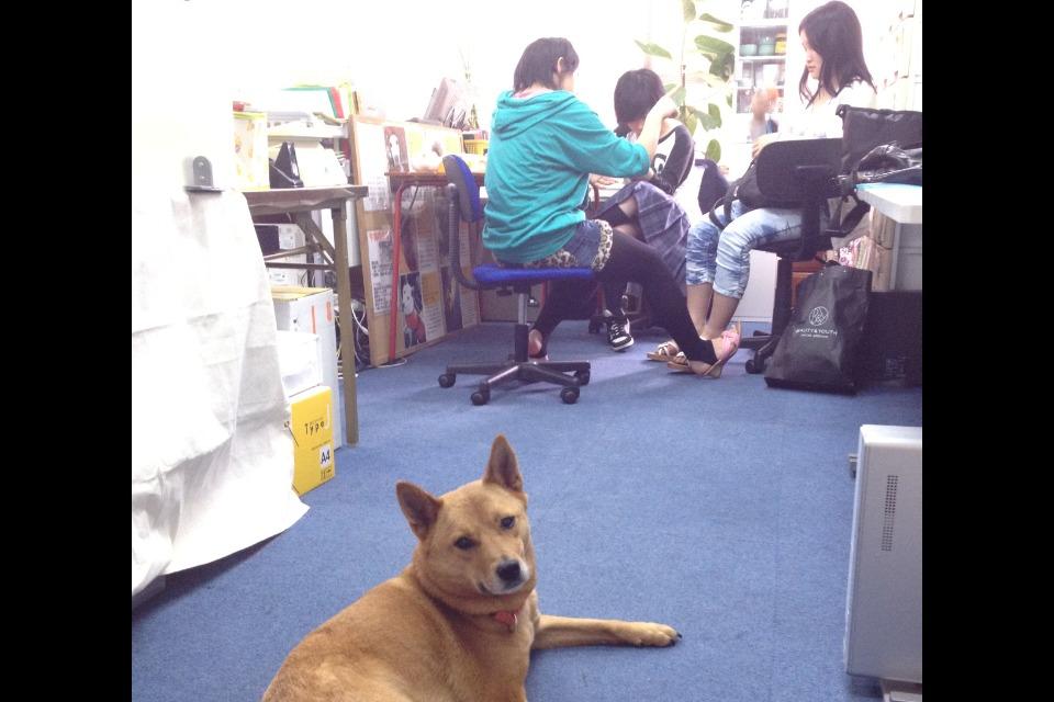 なぜこの課題に取り組むかの画像