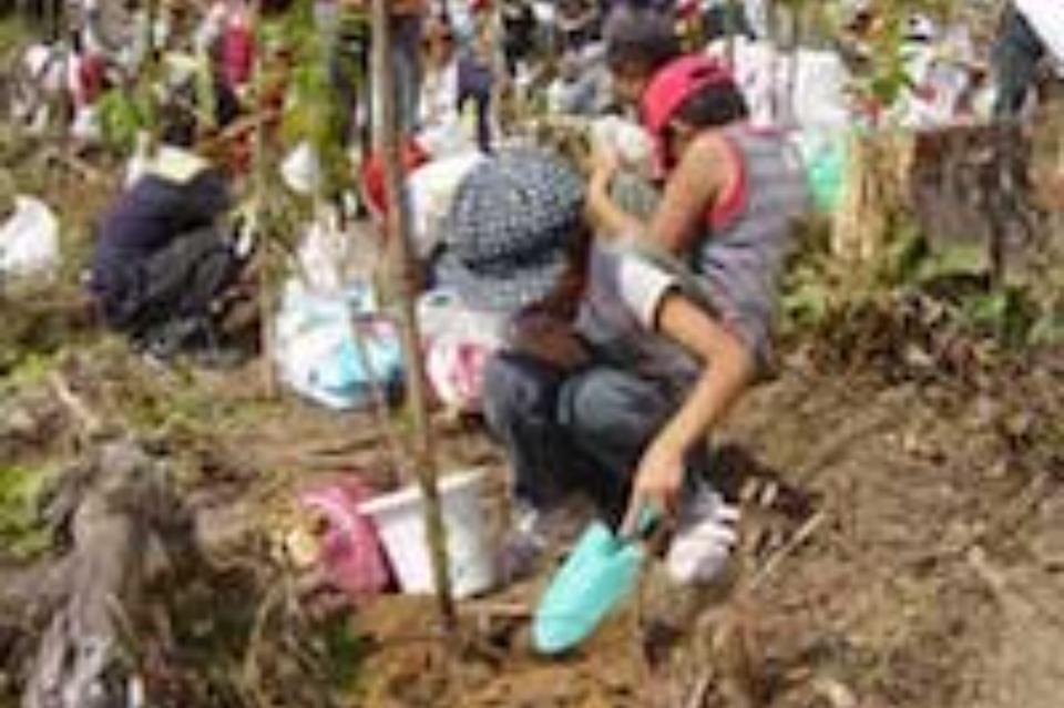 なぜこの課題に取り組むかの画像