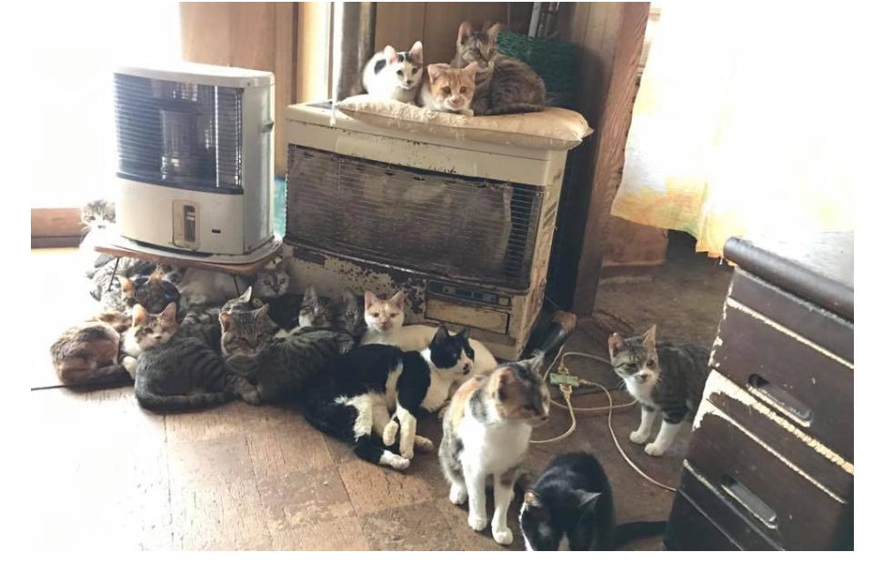 Why we are tackling this issue Image