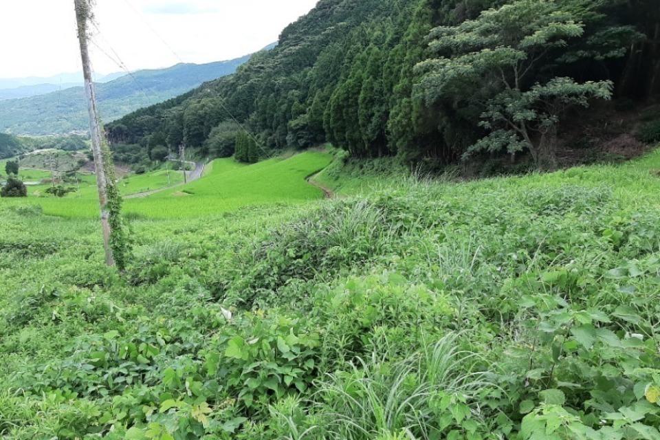 なぜこの課題に取り組むかの画像