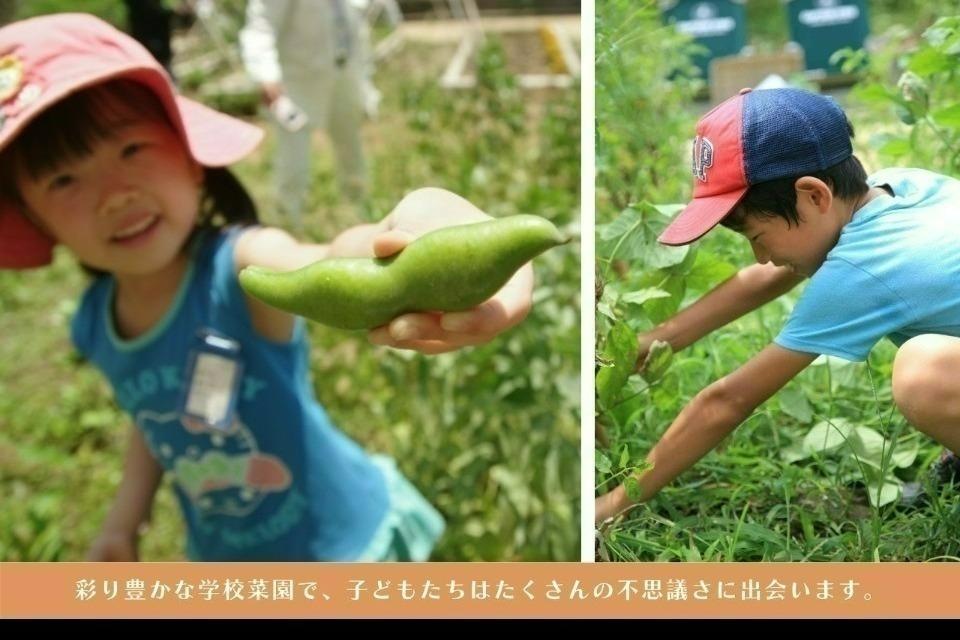 なぜこの課題に取り組むかの画像