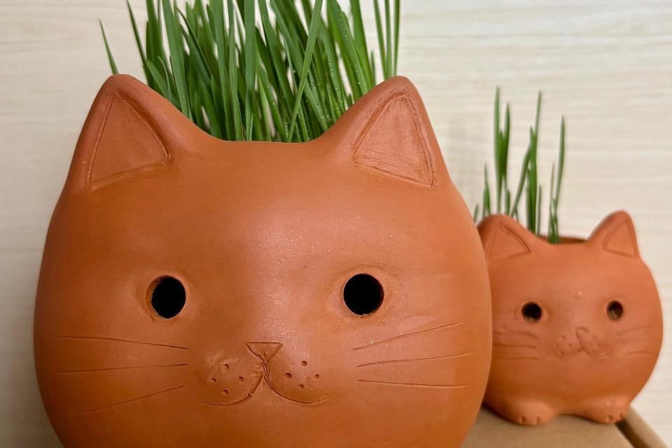 なぜこの課題に取り組むかの画像