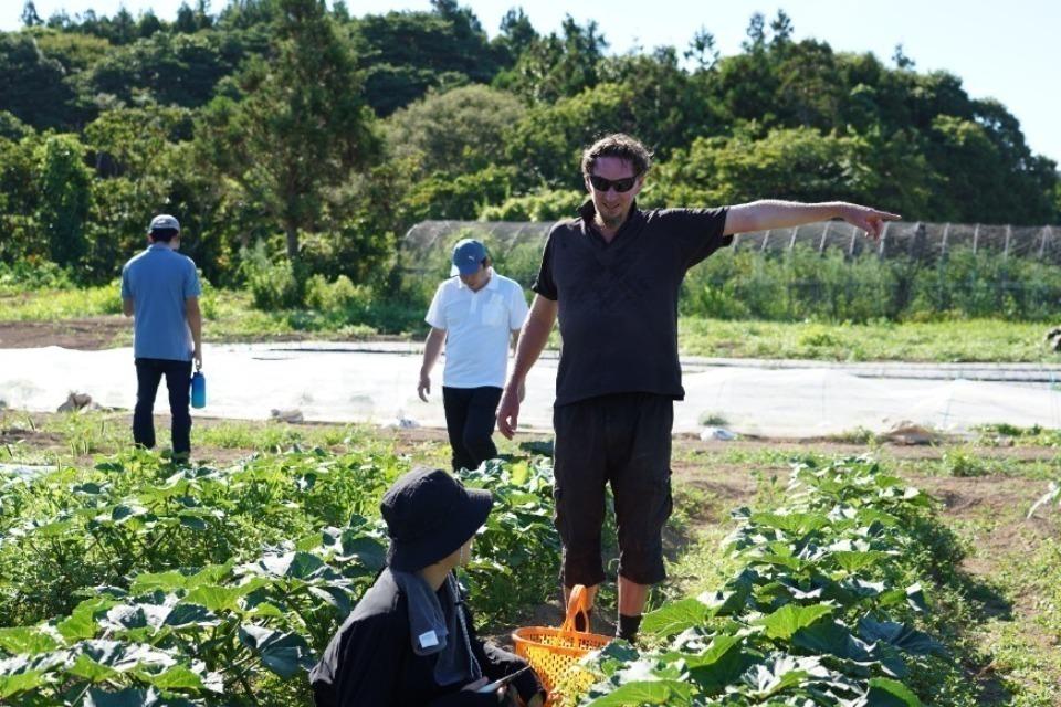 なぜこの課題に取り組むかの画像