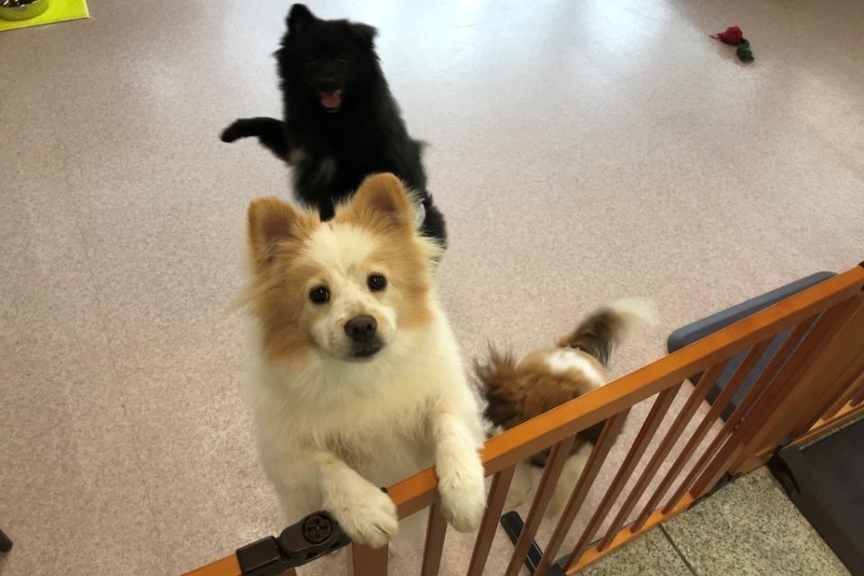 なぜこの課題に取り組むかの画像