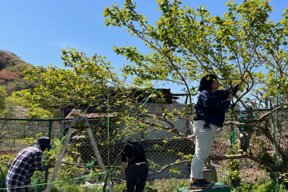 なぜこの課題に取り組むかの画像