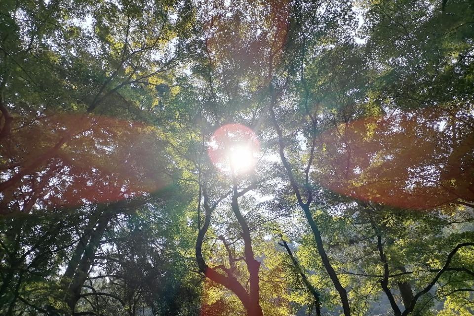 なぜこの課題に取り組むかの画像