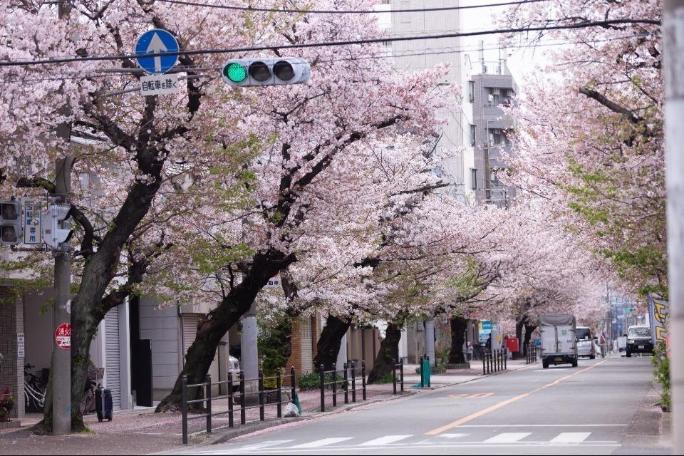 なぜこの課題に取り組むかの画像
