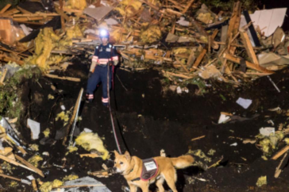 なぜこの課題に取り組むかの画像