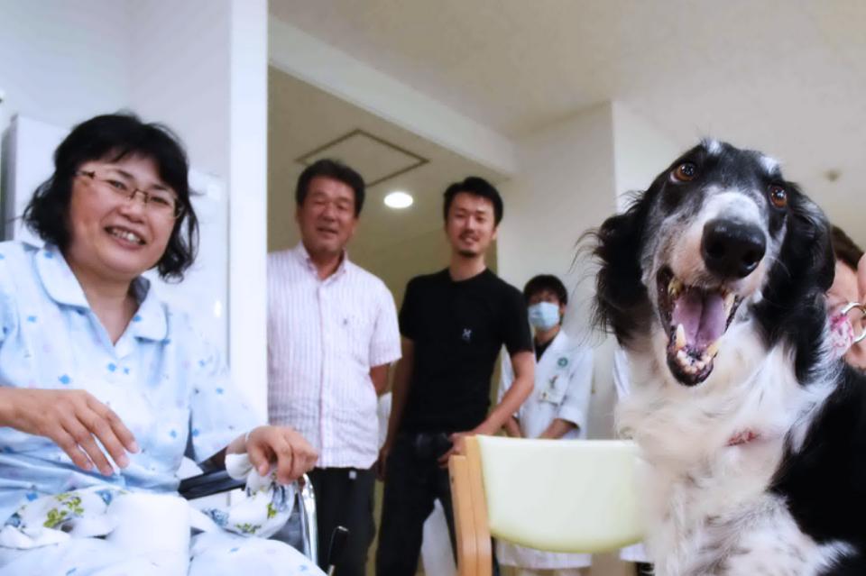 なぜこの課題に取り組むかの画像