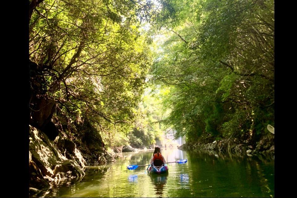 なぜこの課題に取り組むかの画像