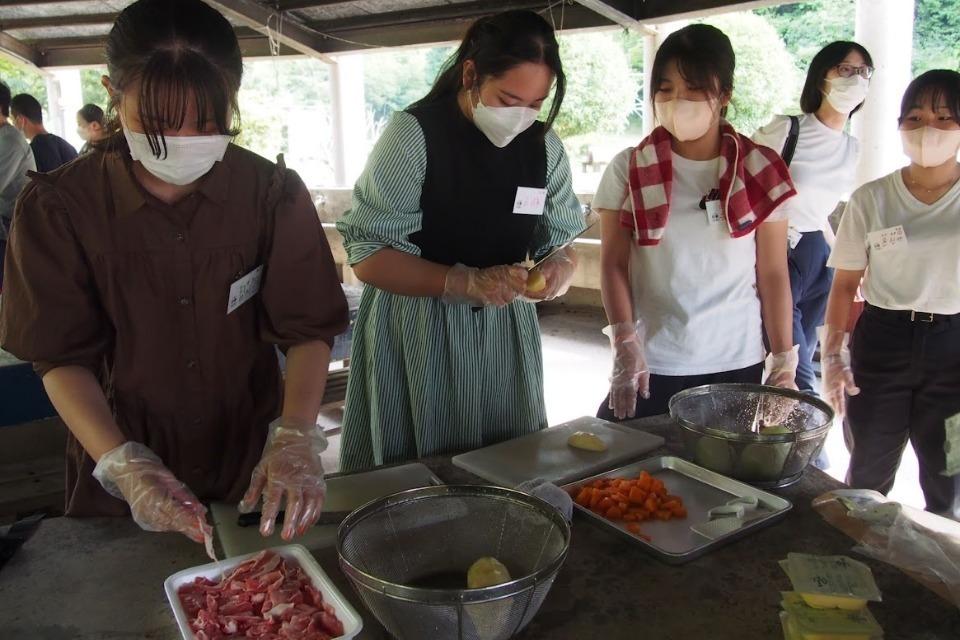 なぜこの課題に取り組むかの画像