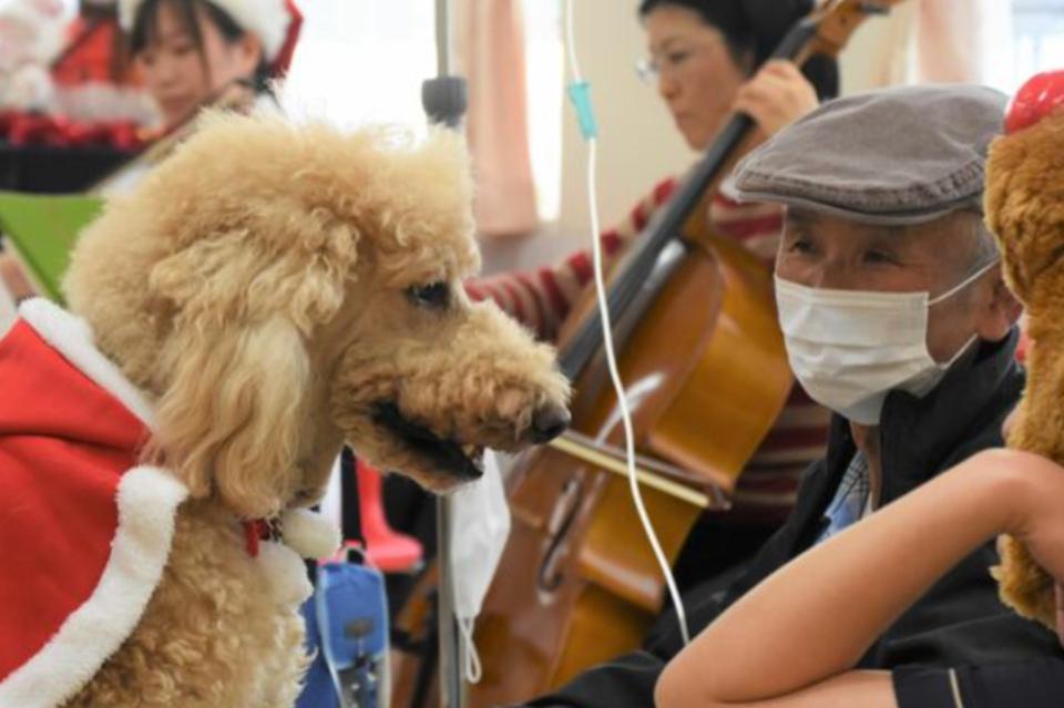 なぜこの課題に取り組むかの画像