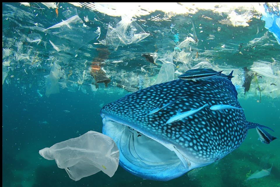 なぜこの課題に取り組むかの画像