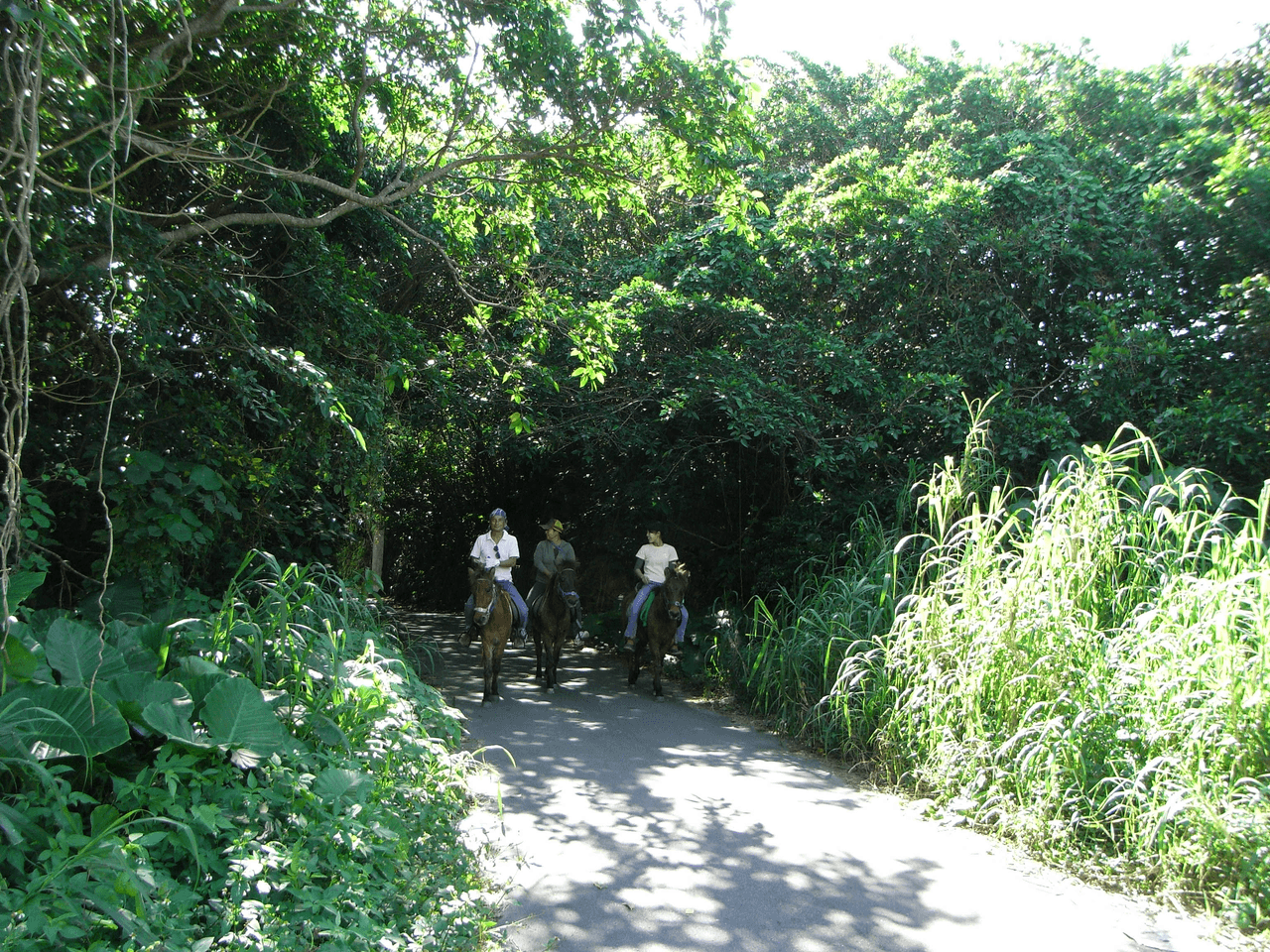 Why we are tackling this issue Image