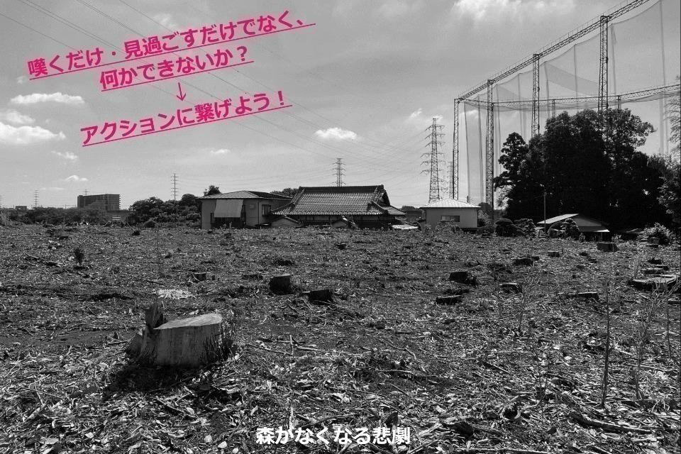 なぜこの課題に取り組むかの画像