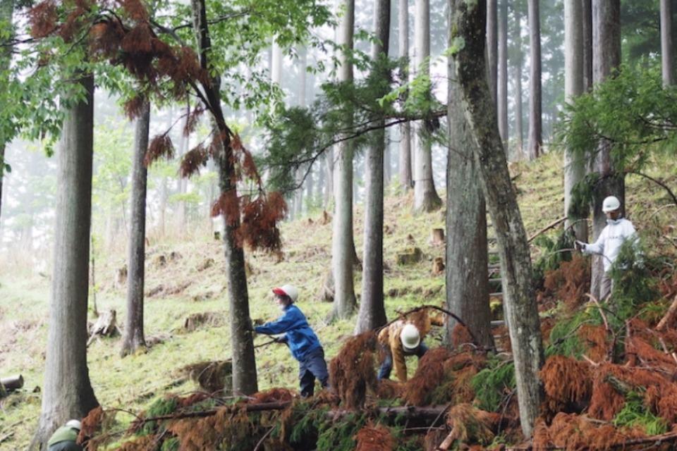 なぜこの課題に取り組むかの画像