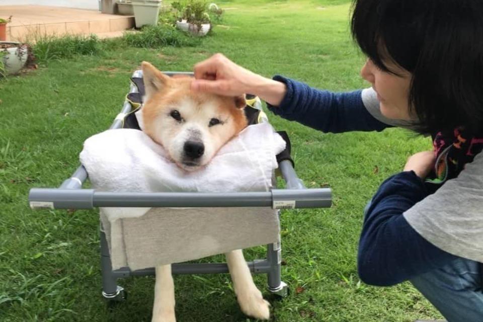 なぜこの課題に取り組むかの画像