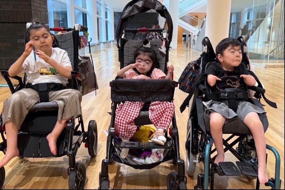 Why we are tackling this issue Image