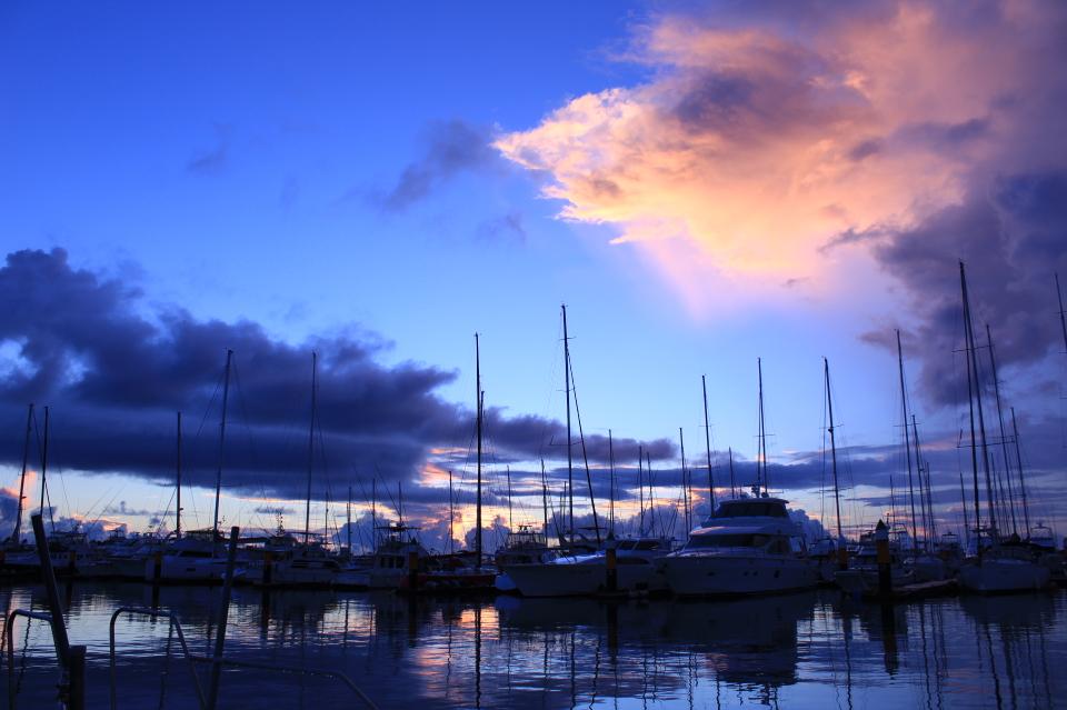 Why we are tackling this issue Image