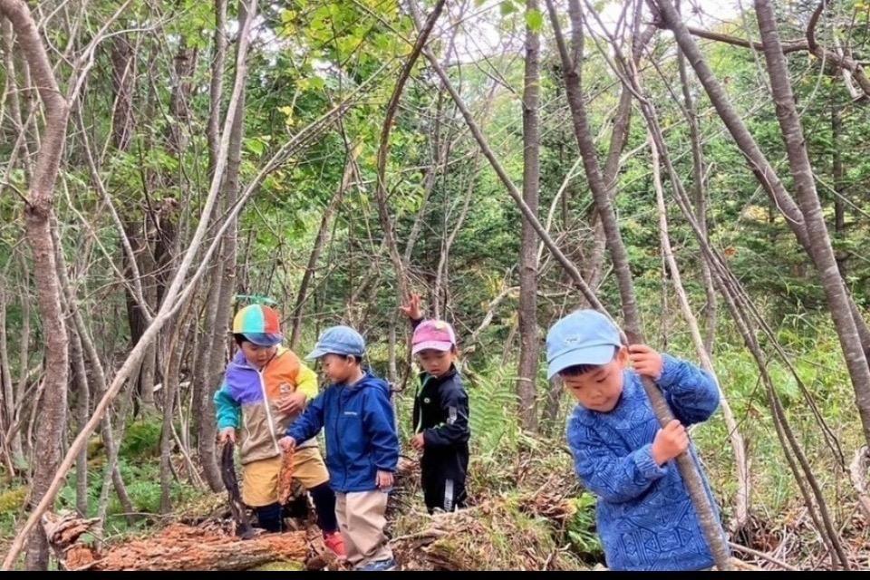 なぜこの課題に取り組むかの画像