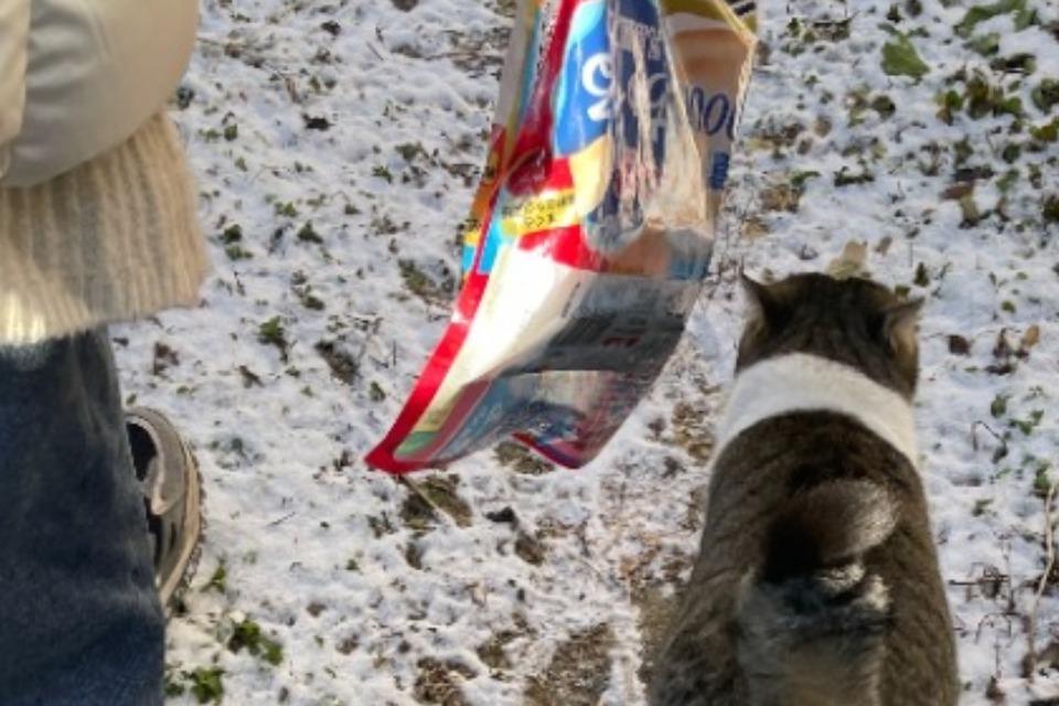 なぜこの課題に取り組むかの画像