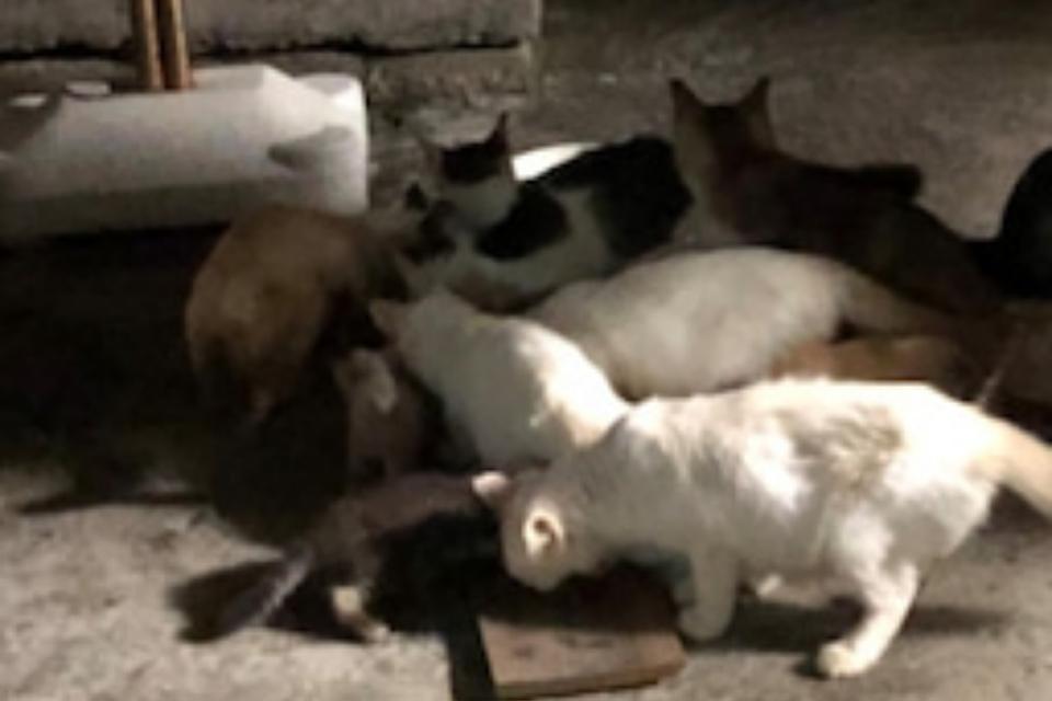 なぜこの課題に取り組むかの画像