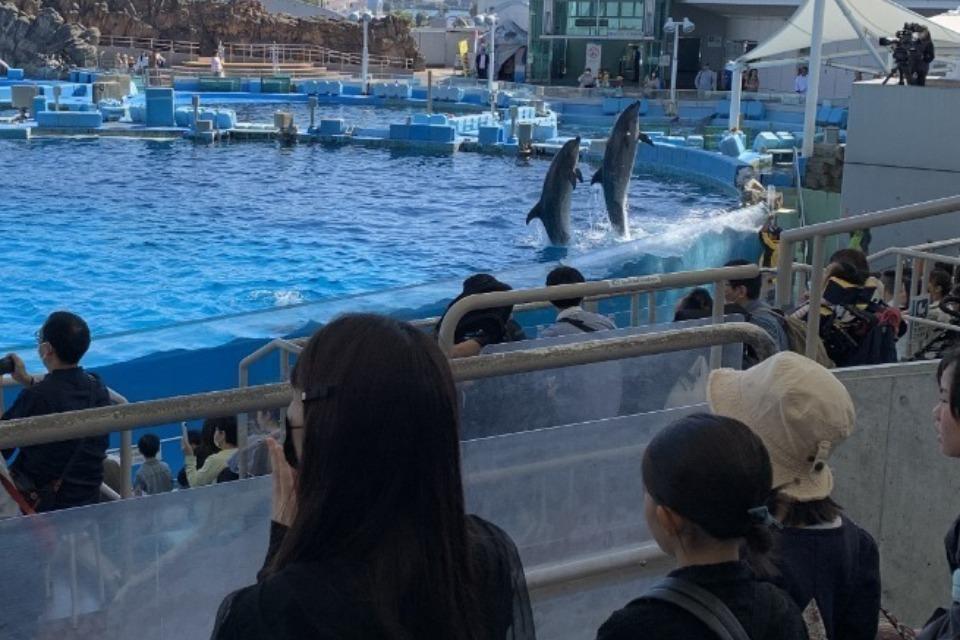 なぜこの課題に取り組むかの画像