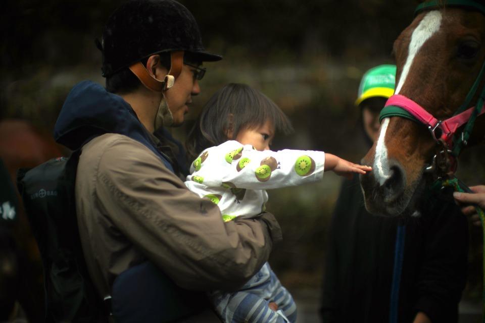 なぜこの課題に取り組むかの画像