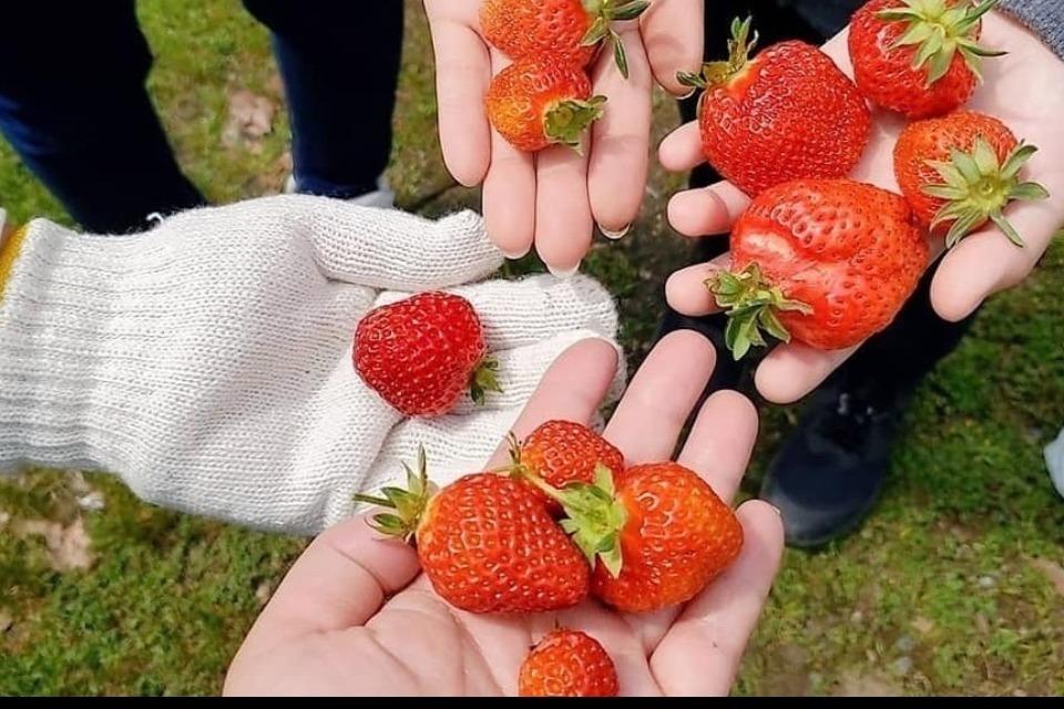 なぜこの課題に取り組むかの画像
