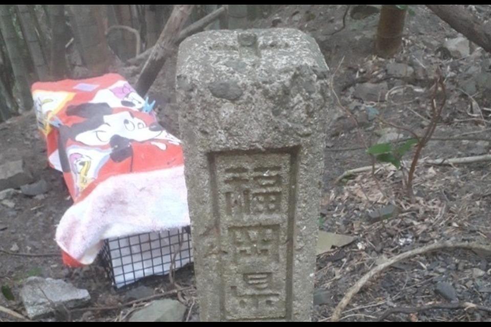 なぜこの課題に取り組むかの画像