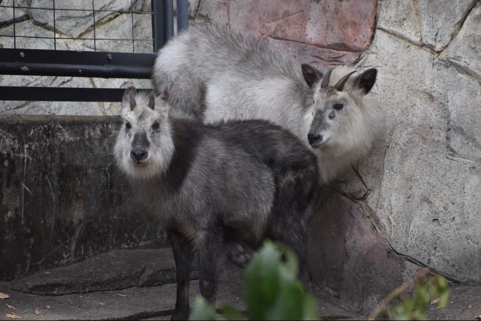 なぜこの課題に取り組むかの画像