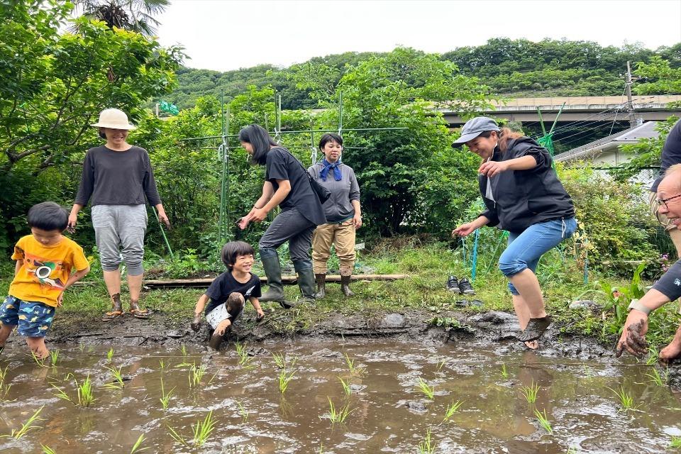 なぜこの課題に取り組むかの画像