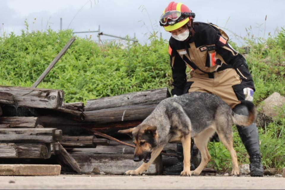 Why we are tackling this issue Image