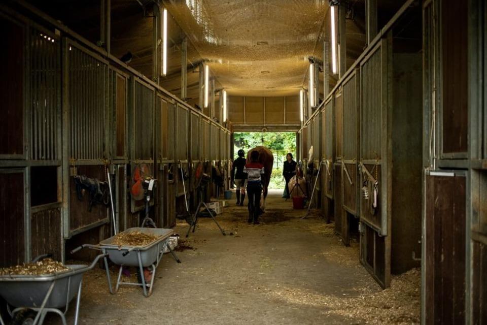 なぜこの課題に取り組むかの画像