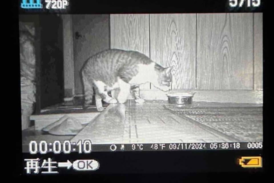 なぜこの課題に取り組むかの画像