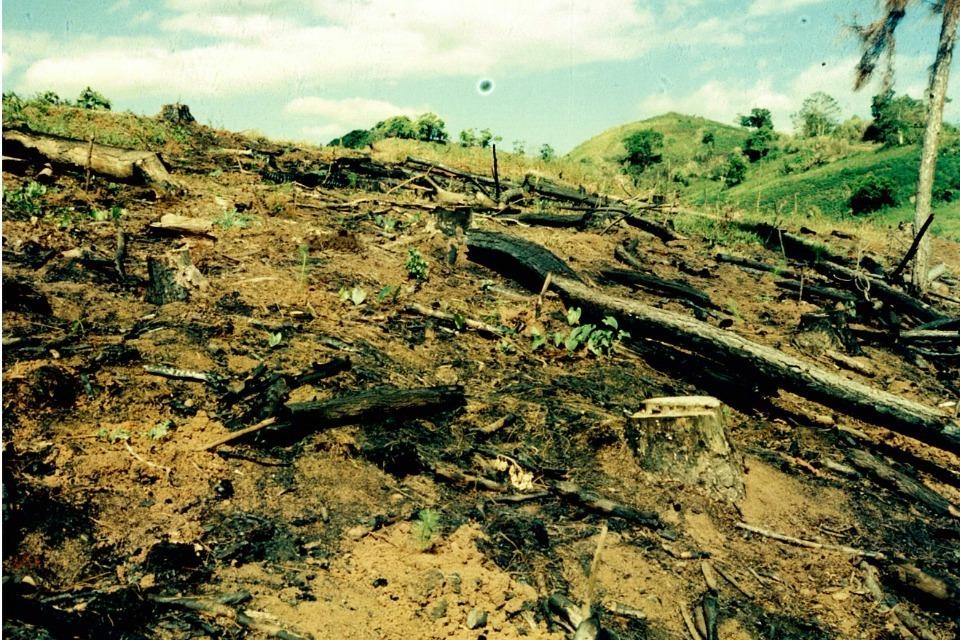 なぜこの課題に取り組むかの画像