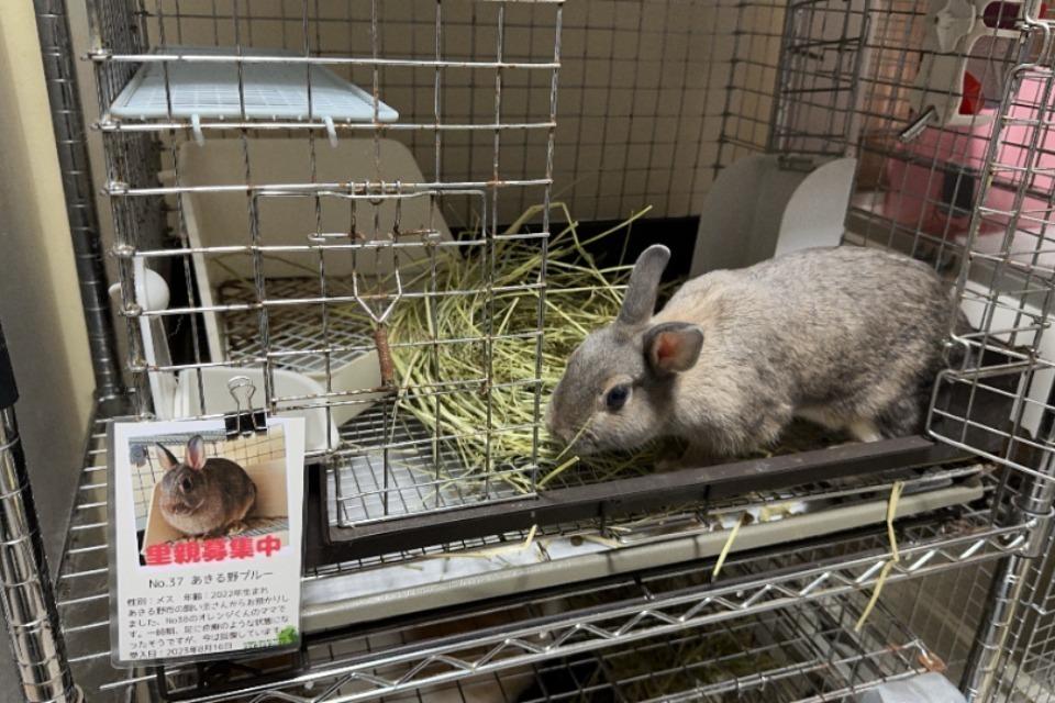なぜこの課題に取り組むかの画像