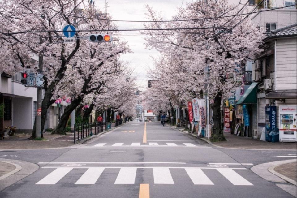 なぜこの課題に取り組むかの画像