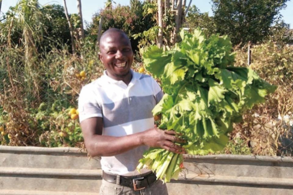 なぜこの課題に取り組むかの画像