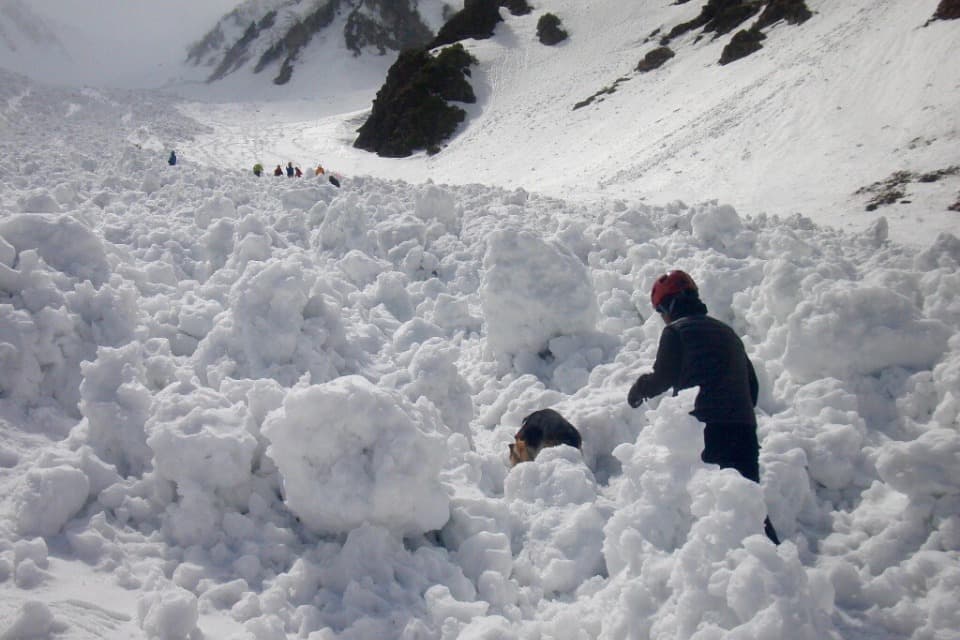 なぜこの課題に取り組むかの画像