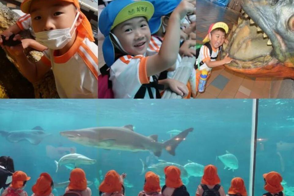 Why we are tackling this issue Image