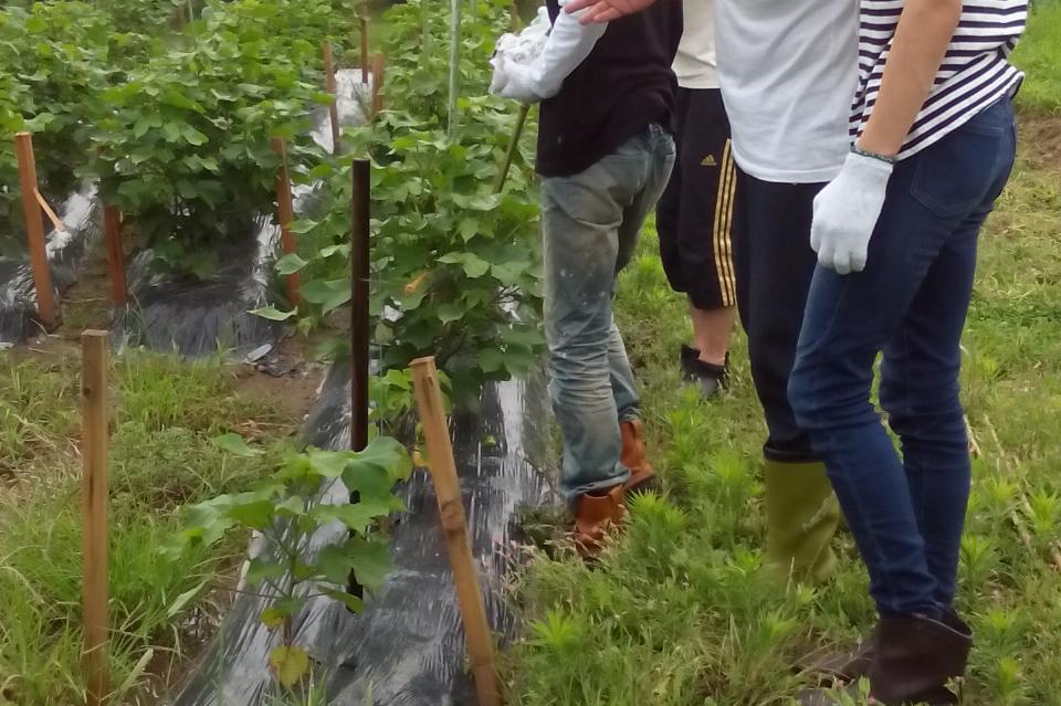 なぜこの課題に取り組むかの画像