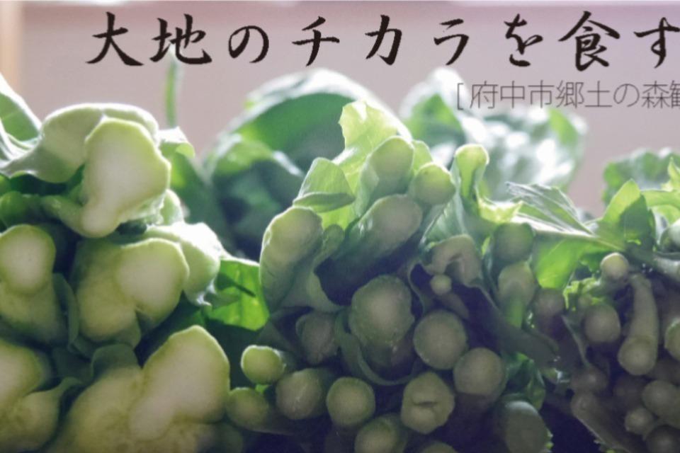 なぜこの課題に取り組むかの画像