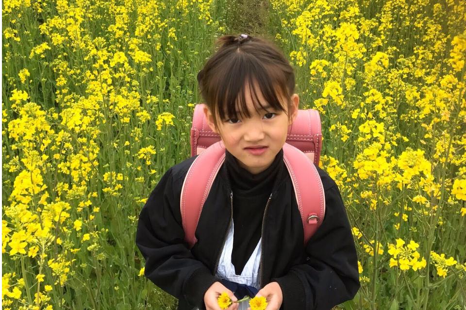 なぜこの課題に取り組むかの画像